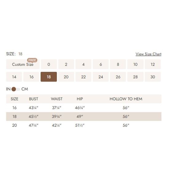 AW BRIDAL 18 2X Plus Cream Carole Floral Embroidered Formal Maxi Dress NEW b145 - Picture 6 of 7